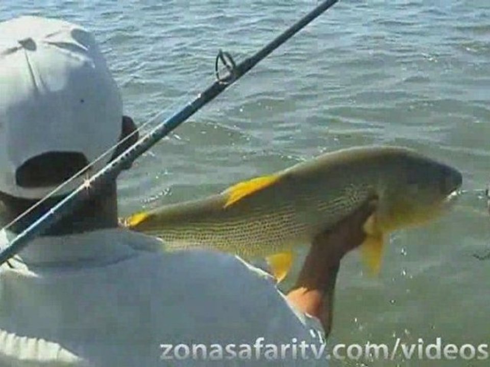Pesca en Itá Ibaté con Lodge Gemelos #19