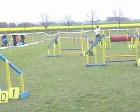 Tita juming st genes