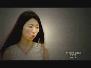 朝音幸 - DESERT BIRD アルバム「Earth Babies」