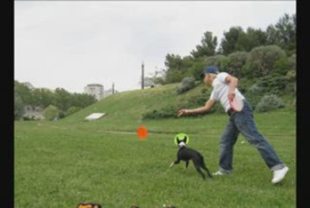 First Steps to Frisbee Games