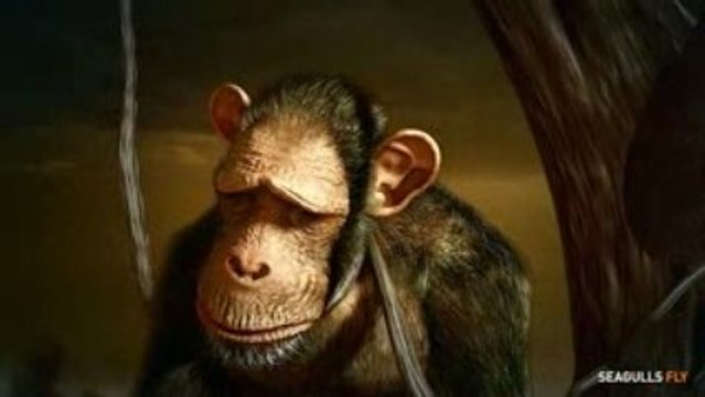 Quercus-global-warming