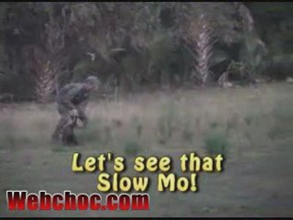 Un chasseur attaqué par des sangliers