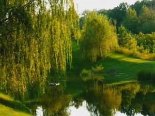 IF I RULED THE WORLD,,, VINCE CASTRO_0001