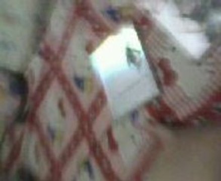 Terminator sarah connor chronicles season 1 dvd