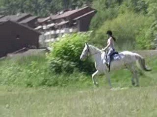 Saphir & Moi au Cross