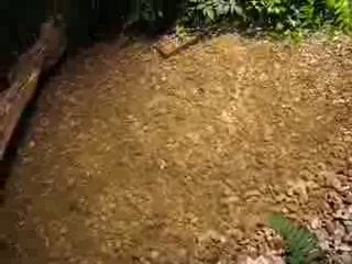 Nantes : Floralies 2009