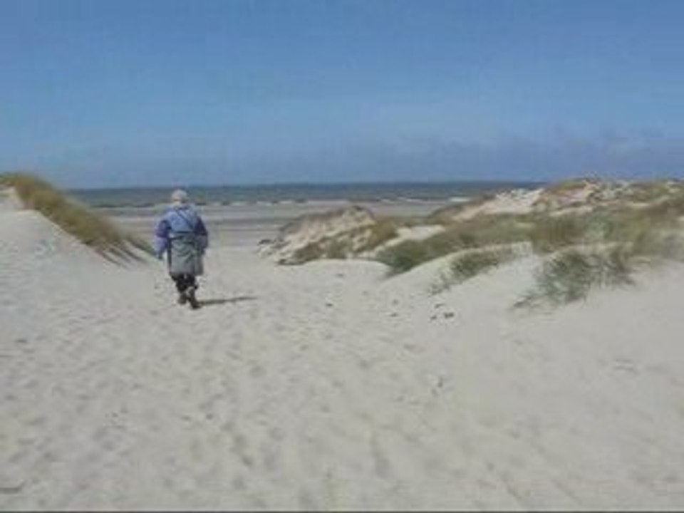 baie de Somme - mai 2009