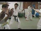 Ashihara Karate Wien Sabaki Viyana Avusturya