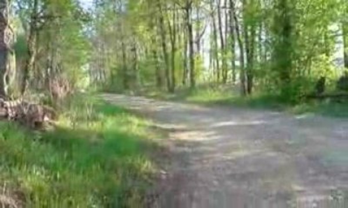 drift avec petit Quad 110cc 4t
