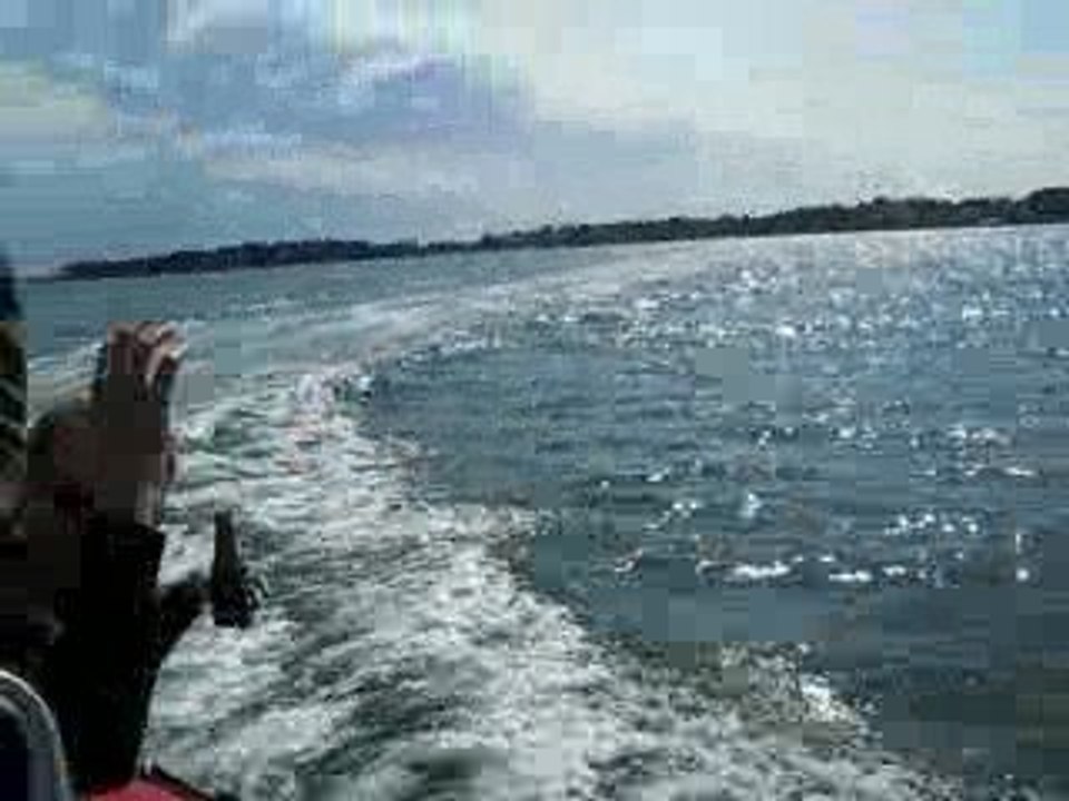 Alex in action