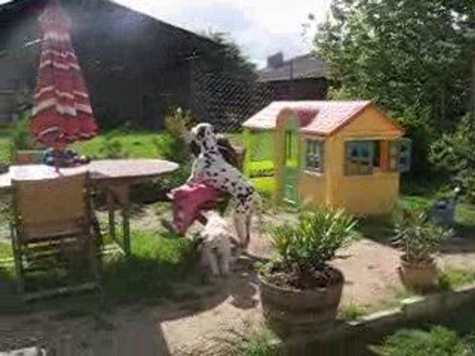 MVI_0759