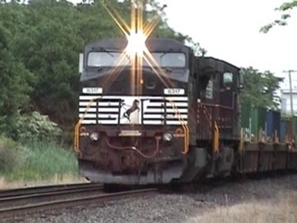 NS 233