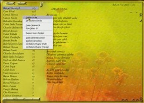 005 Arama - ŞiirSEN Şiir Kütüphane Programı Yardımı