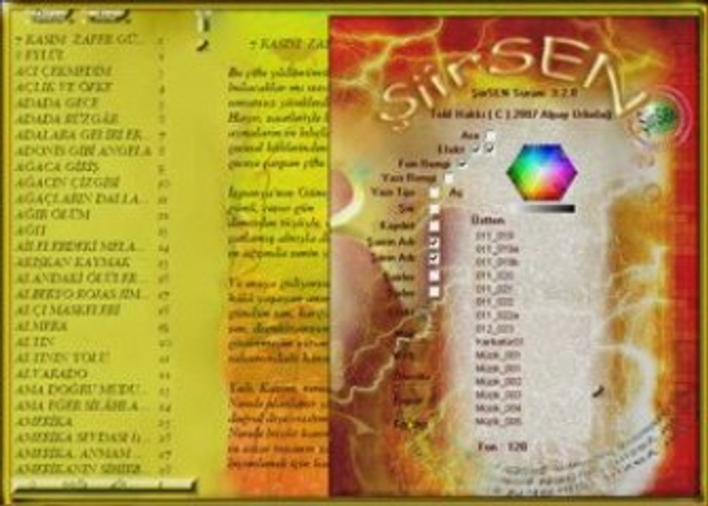 06 Görünüm Ayarları - ŞiirSEN Şiir Kütüphane Programı