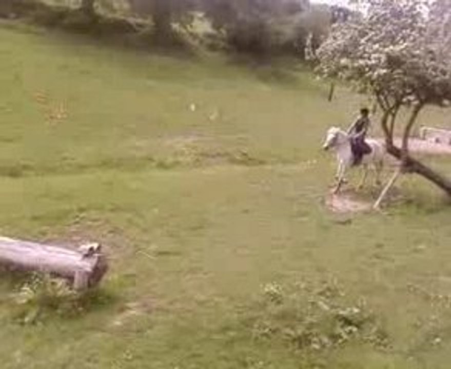 Saut tronc 2