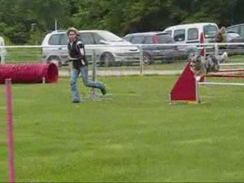 Concours CHANTILLY - Agility