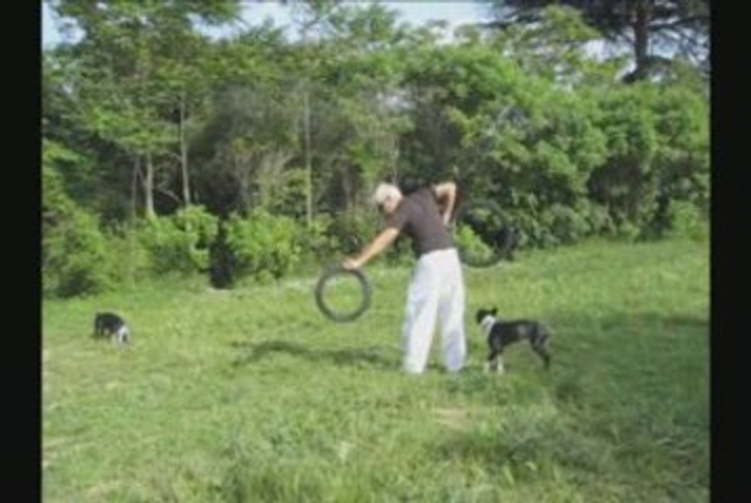 Jumping through Hoops