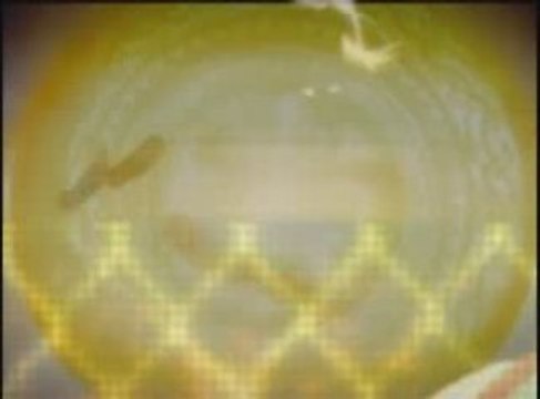 Amv karas fait par draguon