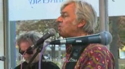 Robyn Hitchcock & the Venus 3-What You Is (live)