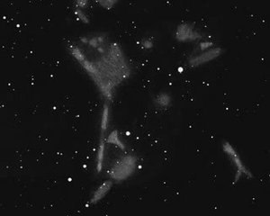 Balade dans les dentelles du Cygne