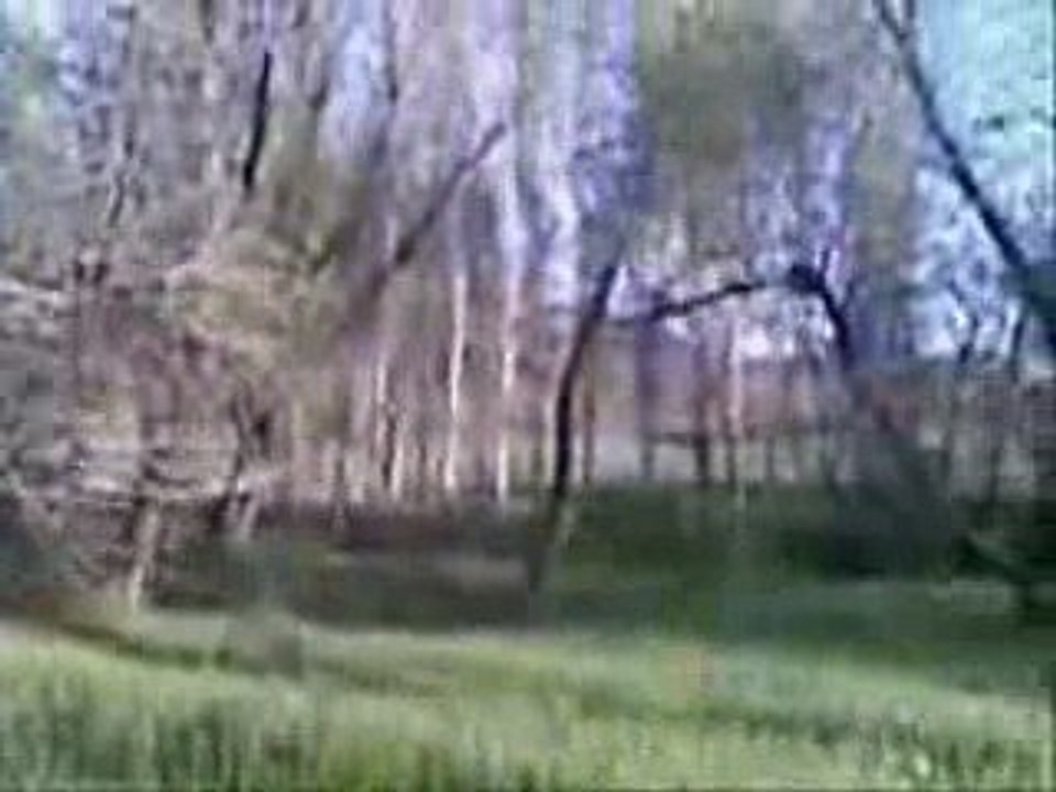 Kayapinar'dan müthiş görüntüler