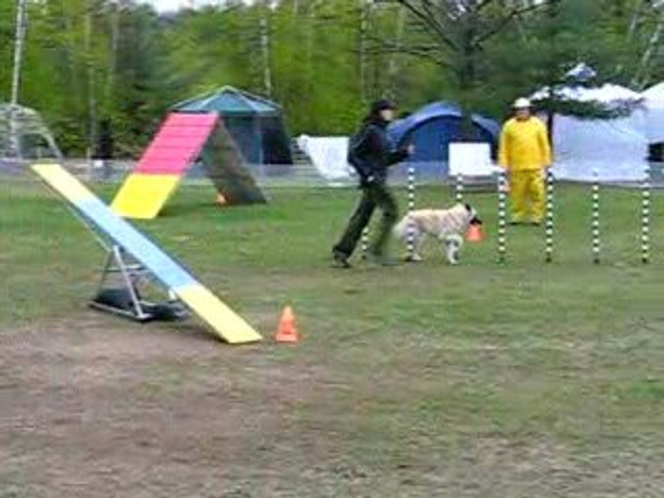 Standard Novice 1