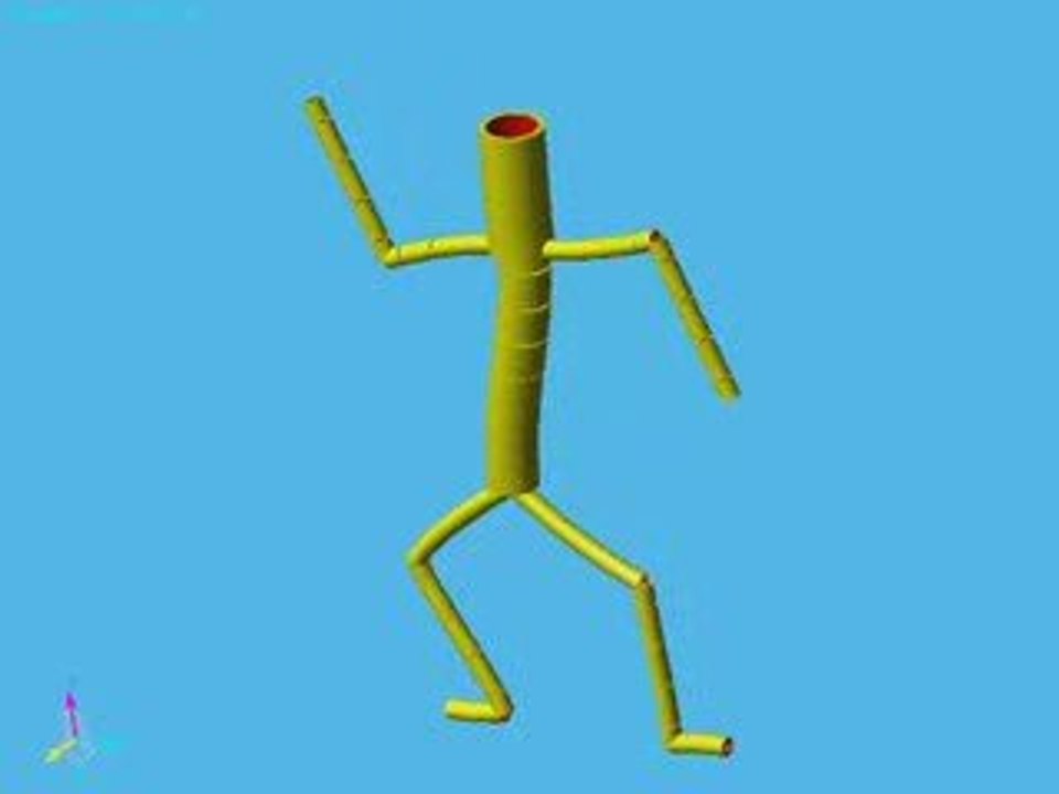 Modal Analysis of the Human Body