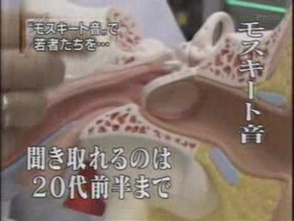 モスキート音