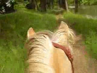 Pilou trot canal trotteur