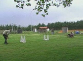 Initiation flyball