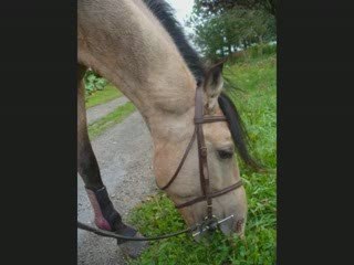 Chiquito mon dada !!