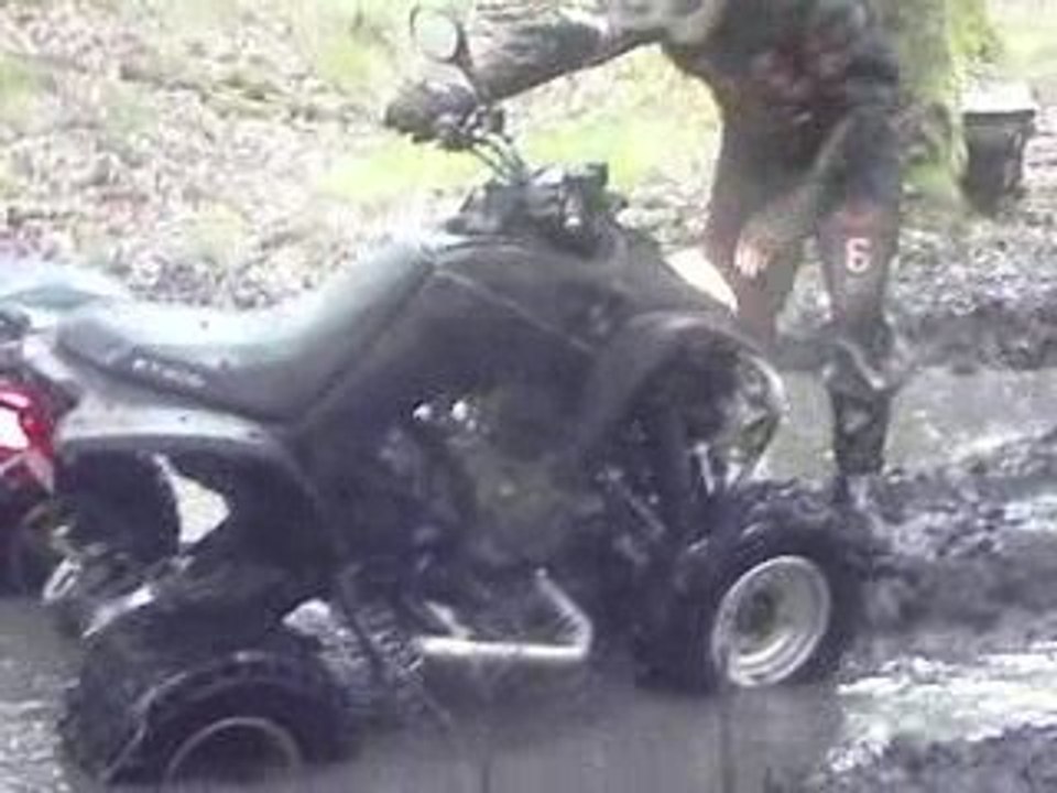 Quad