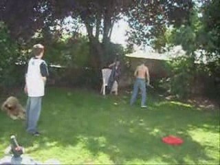 un petit braquage raté