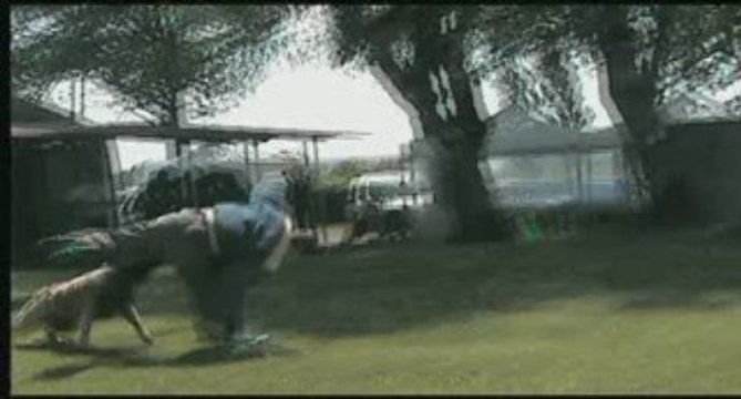 CYRIUS DU MUSHER 180.50 à guegnon