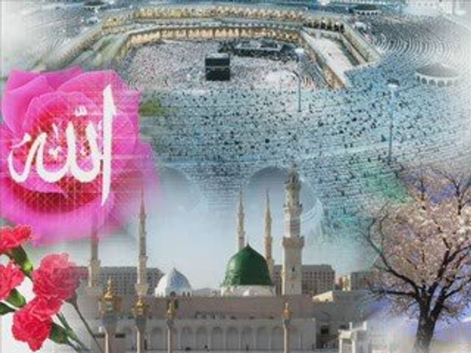 Mustafa cihat  seni anlatamam