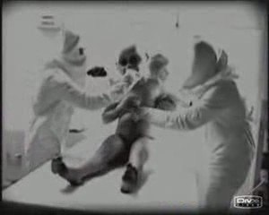 L'armée US a capturé un Petit Gris !