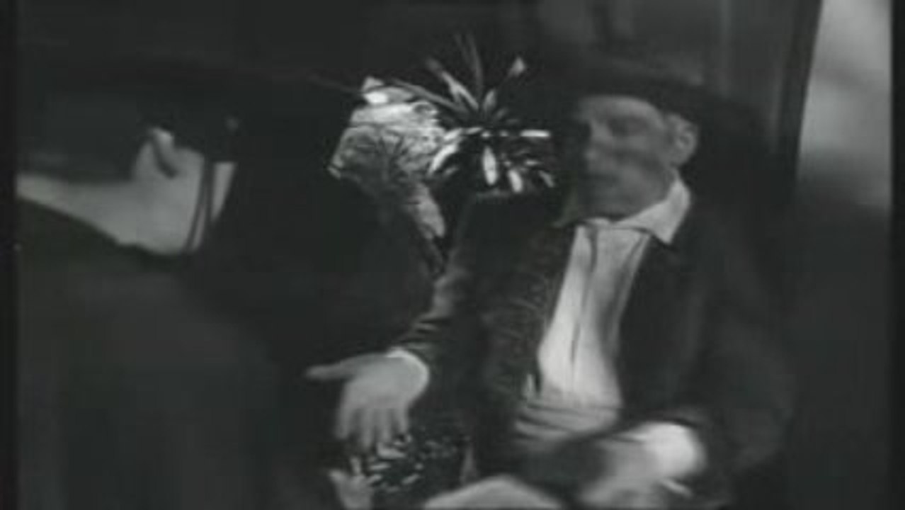 Les nuls-Zorro