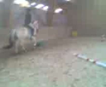 Au galop vek cele de ma vie > ma ponette (L'