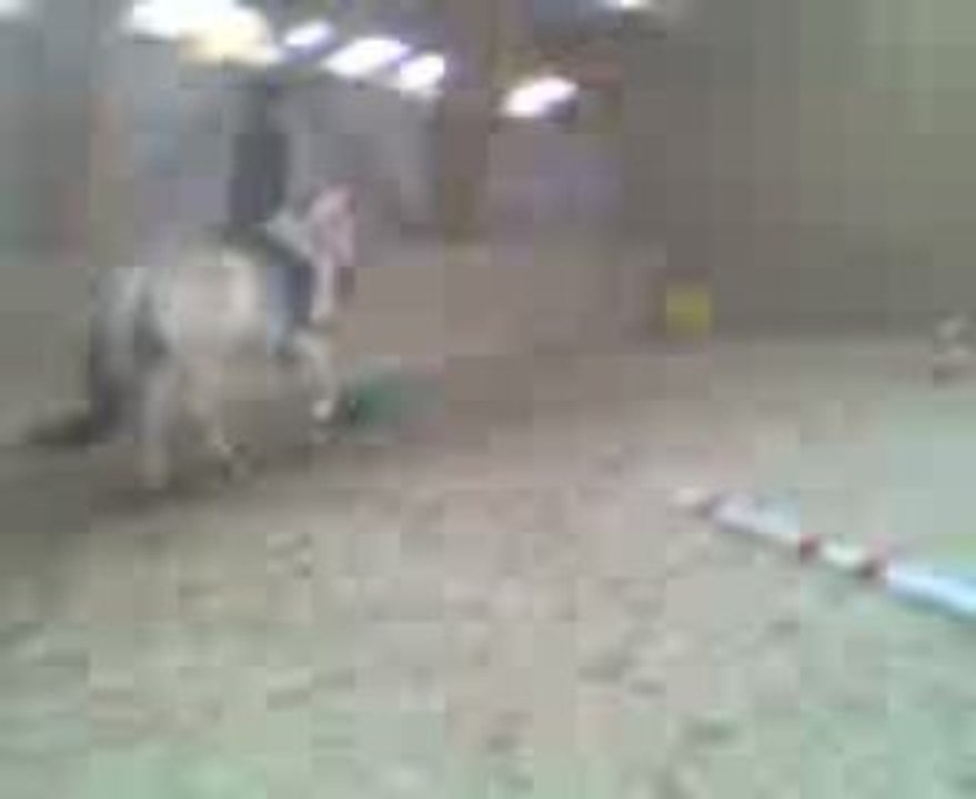 Au galop vek cele de ma vie --> ma ponette (L'