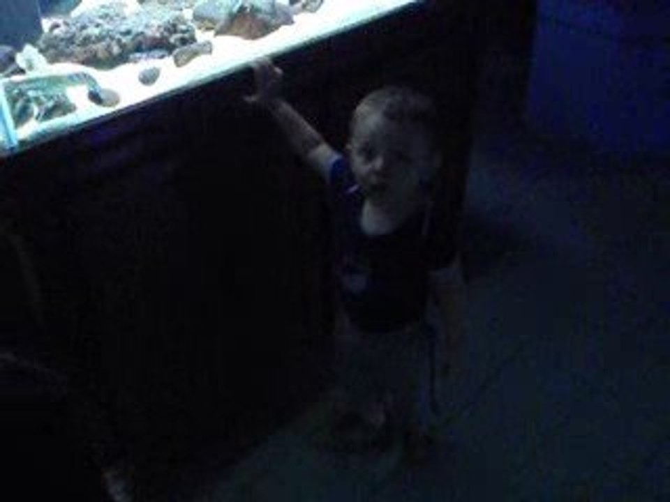 Axel à l'aquarium