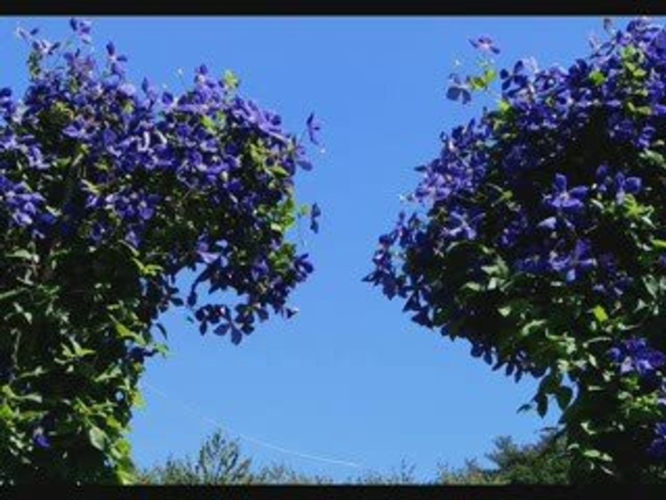 Mark oliver  i feel love  mauro picotto mix