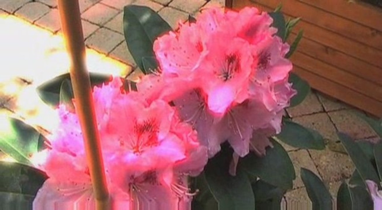 Vincennes : Chambres d'hôtes à Vincennes 2ème