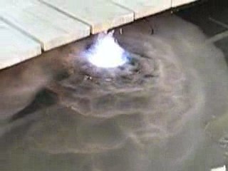 Nantes : Floralies 2009