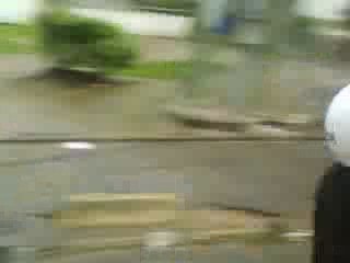 Pocket Sadi Fly's CDN