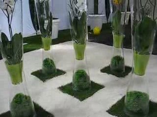 Nantes : Floralies 2009