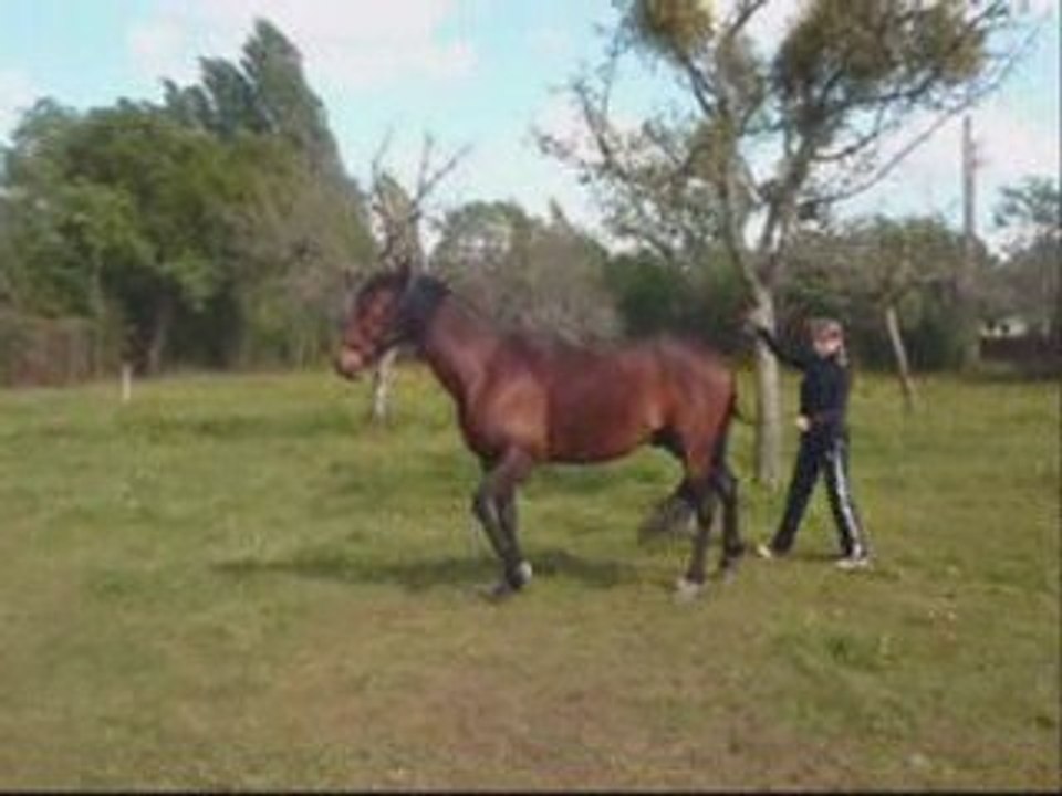 Reculer en aspiration début