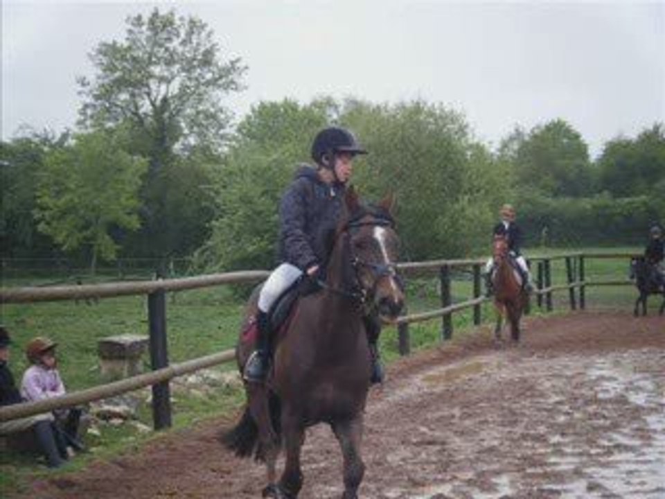 Les chevaux!!!