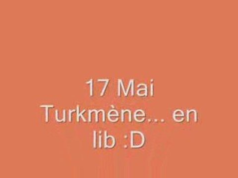 Turkmène en longe/liberté