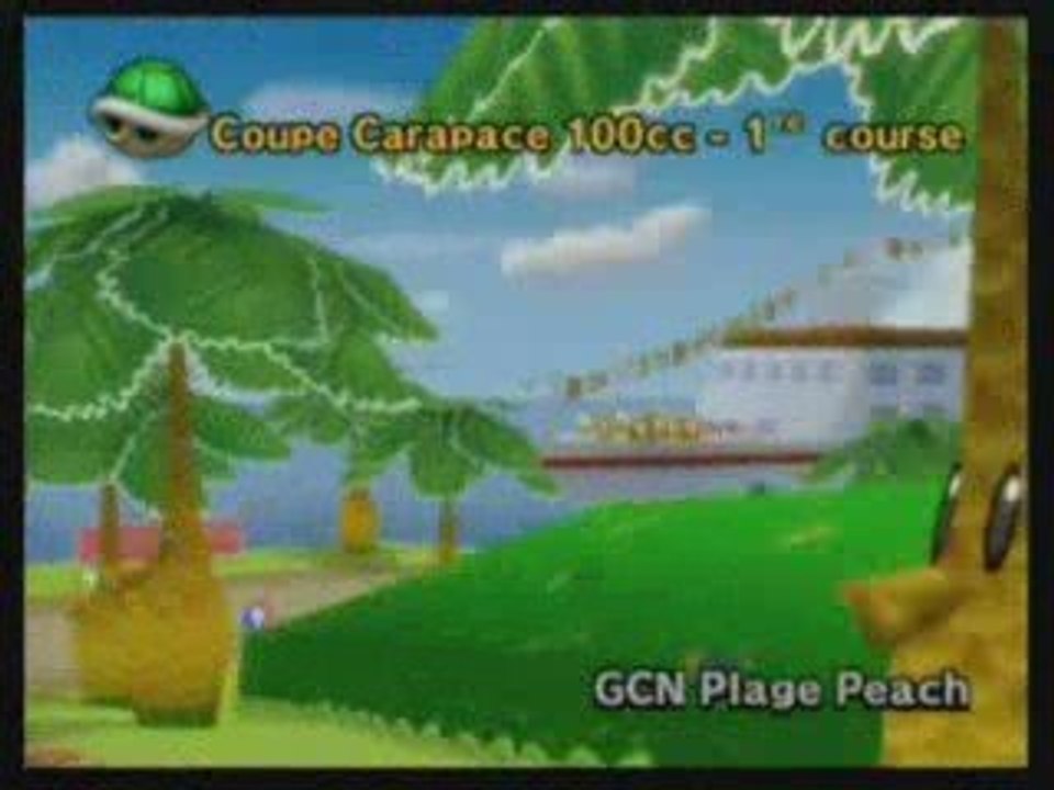 Mario kart Wii