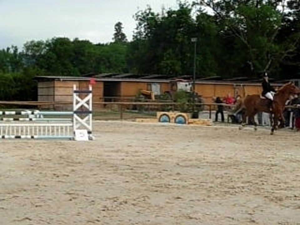 merlin et moi a la sauvageonne